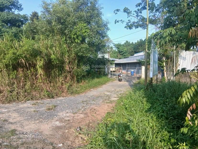 Cho thuê 1.200 m2 kho và đất mặt tiền quốc lộ 61c giá 15 triệu