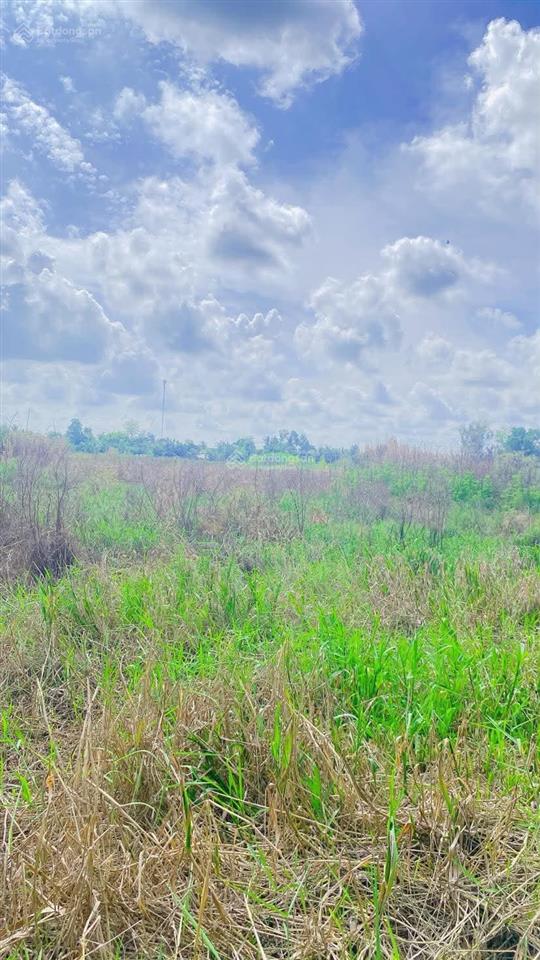 Cho thuê đất 10.000 m2 mặt tiền nguyễn văn linh 20 triệu