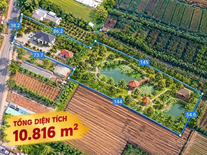 Cho thuê đất 10.000 m2 mặt tiền nguyễn văn linh 20 triệu
