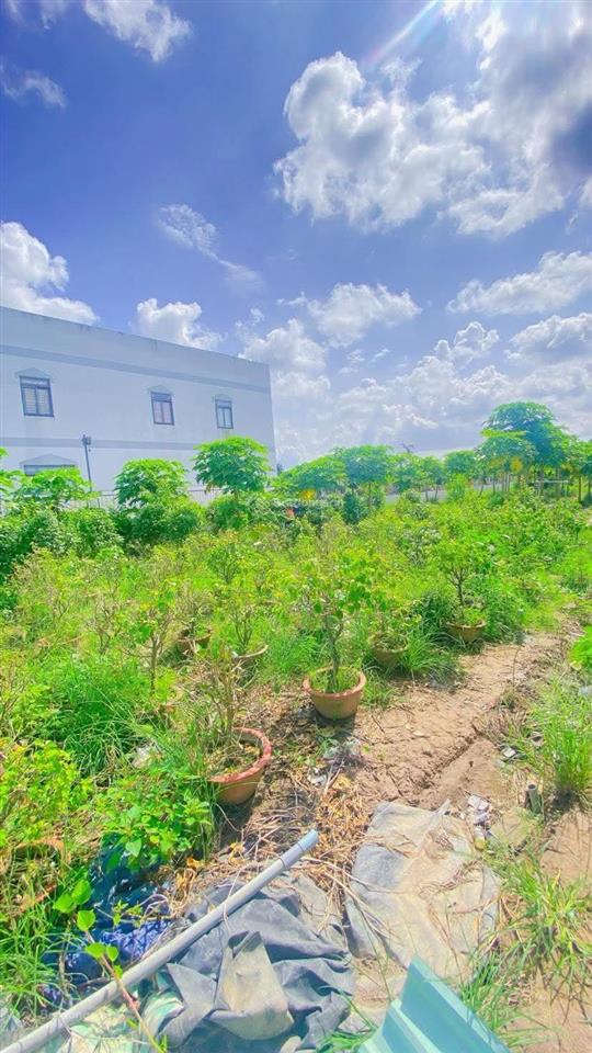 Cho thuê đất 10.000 m2 mặt tiền nguyễn văn linh 20 triệu