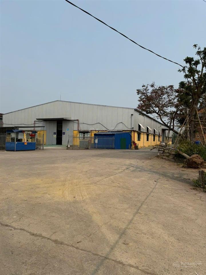 Cho thuê nhà xưởng mặt đường ql21b  hồng quang, nam trực, nam định, hệ thống pccc tự động