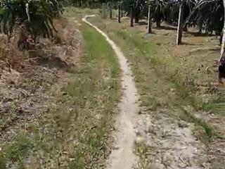 Chính chủ bán mặt tiền nguyễn minh châu, tân hải, la gi, dt hơn 1 héc ta, giá 4 tỷ