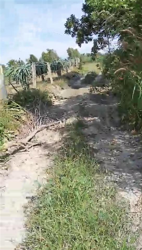 Chính chủ bán mặt tiền nguyễn minh châu, tân hải, la gi, dt hơn 1 héc ta, giá 4 tỷ