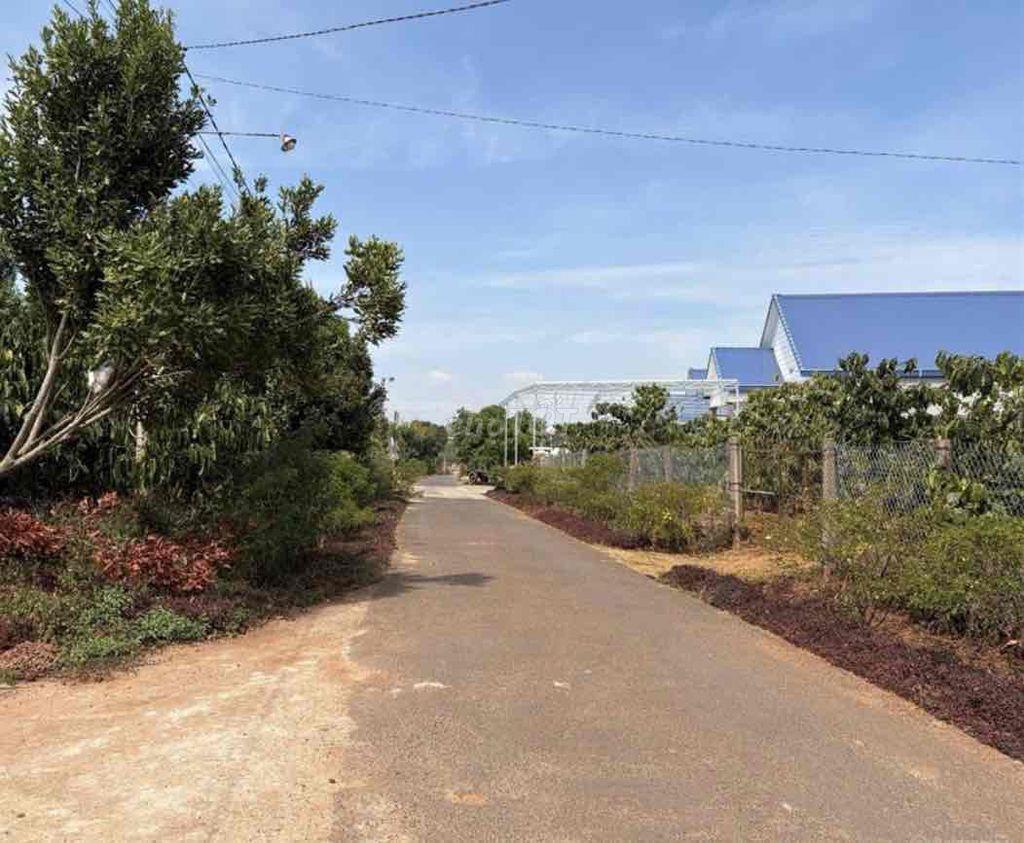 Đất ở 198m2 ngang 6m MT đường rộng Bảo Thuận, Di Linh 450 triệu