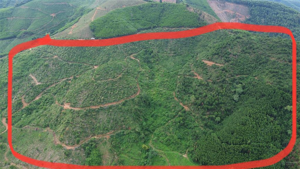 Hạ giá bánh nhanh gần 10ha (95.243m2) đất trồng keo tại xã ea trang, huyện m'drak, đắk lắk, 2.1 tỷ