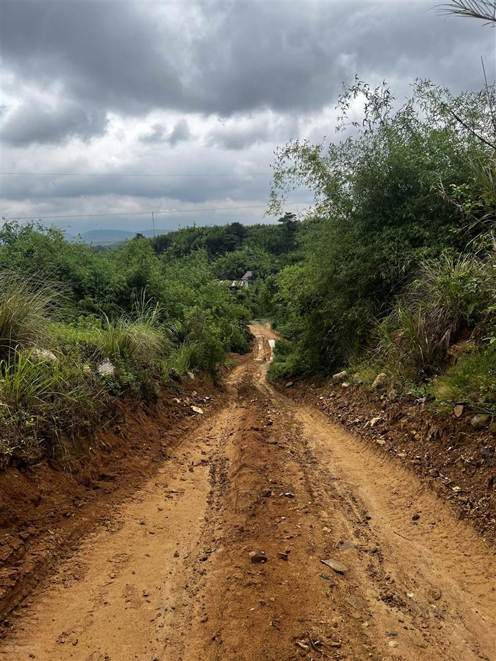 Hạ giá bánh nhanh gần 10ha (95.243m2) đất trồng keo tại xã ea trang, huyện m'drak, đắk lắk, 2.1 tỷ