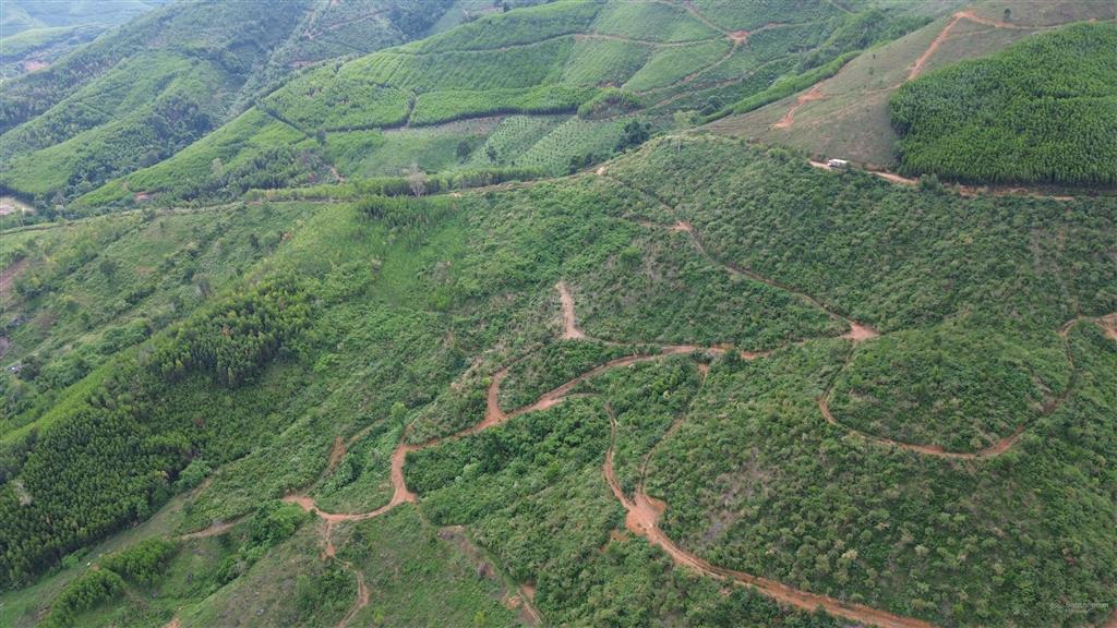 Hạ giá bánh nhanh gần 10ha (95.243m2) đất trồng keo tại xã ea trang, huyện m'drak, đắk lắk, 2.1 tỷ