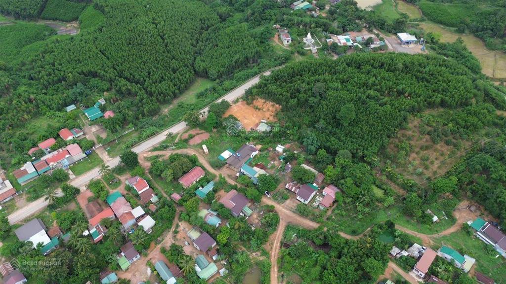 Hạ giá bánh nhanh gần 10ha (95.243m2) đất trồng keo tại xã ea trang, huyện m'drak, đắk lắk, 2.1 tỷ