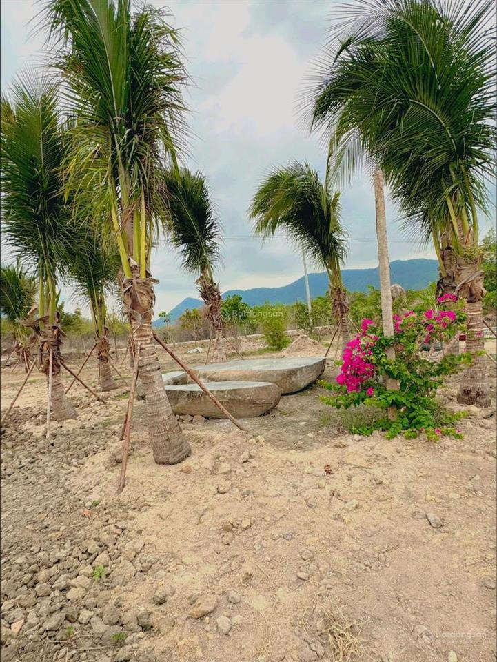 Chuyển nhượng nhanh farm suối khoáng nóng tại ninh tây, ninh hòa. qh full thổ, giá bao sang tên
