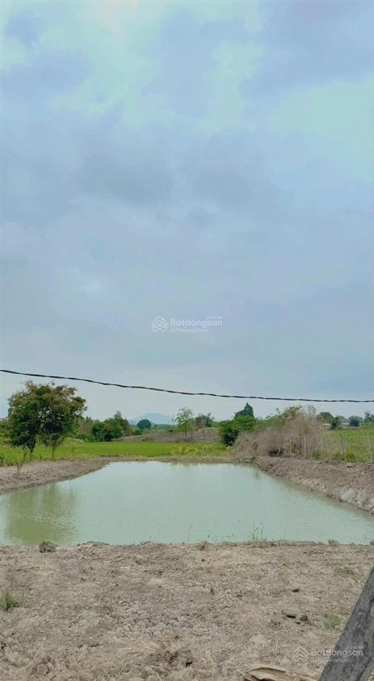 Chuyển nhượng nhanh farm suối khoáng nóng tại ninh tây, ninh hòa. qh full thổ, giá bao sang tên