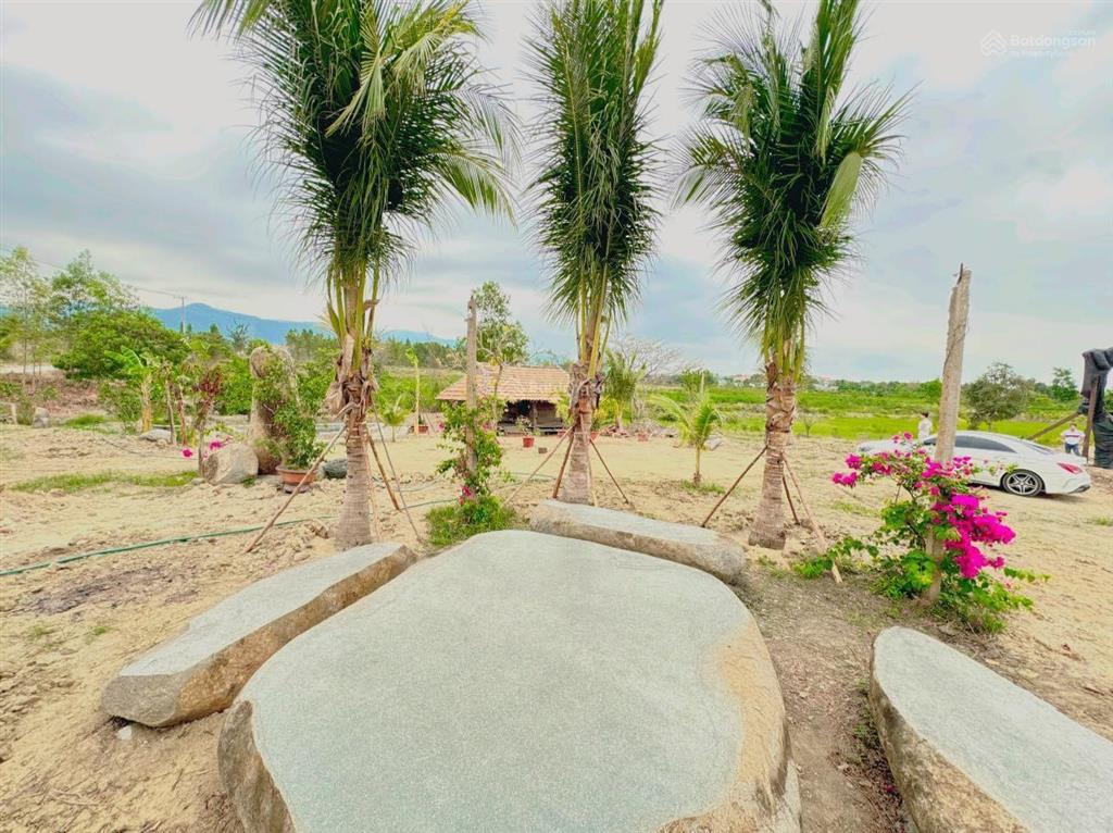 Chuyển nhượng nhanh farm suối khoáng nóng tại ninh tây, ninh hòa. qh full thổ, giá bao sang tên