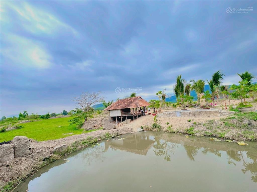 Chuyển nhượng nhanh farm suối khoáng nóng tại ninh tây, ninh hòa. qh full thổ, giá bao sang tên
