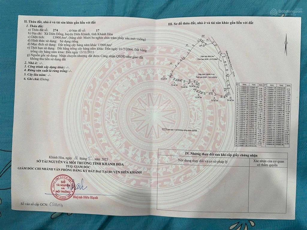 Bán nhanh đất đang trồng keo tại diên đồng cũ, sổ hồng giá, chỉ 4.85 tỷ