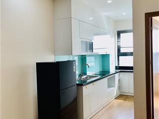 Cần bán căn hộ 2 phòng ngủ, full nội thất