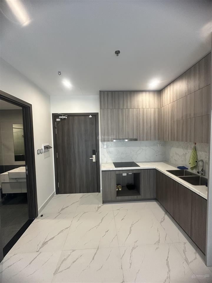 Bán căn hộ 1pn+ giá rẻ chỉ 3,880 tỷ tại opus one cao cấp nhất vinhomes grand park