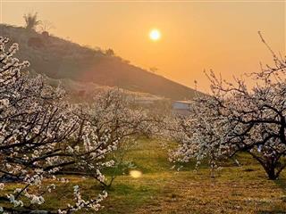 Bán căn góc mặt đường lê lợi ngô quyền hải phòng