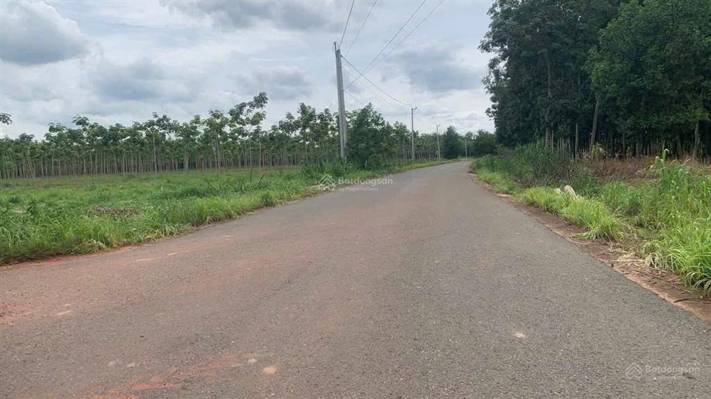 Đất nha bích  chơn thành  đồng nai