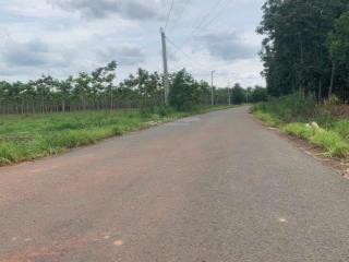 Đất nha bích  chơn thành  đồng nai