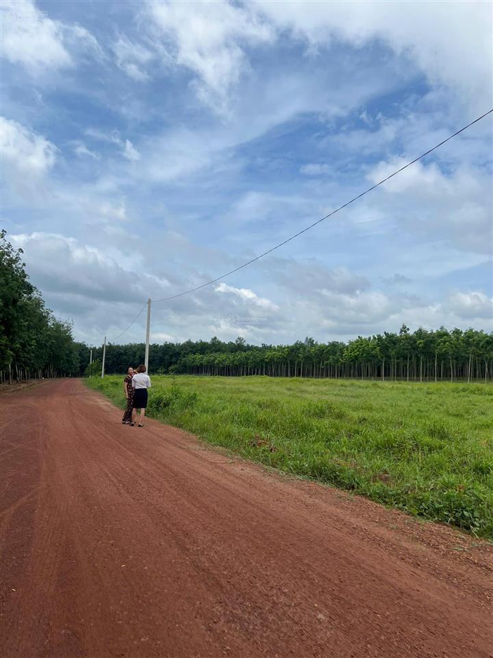 Đất nha bích  chơn thành  đồng nai