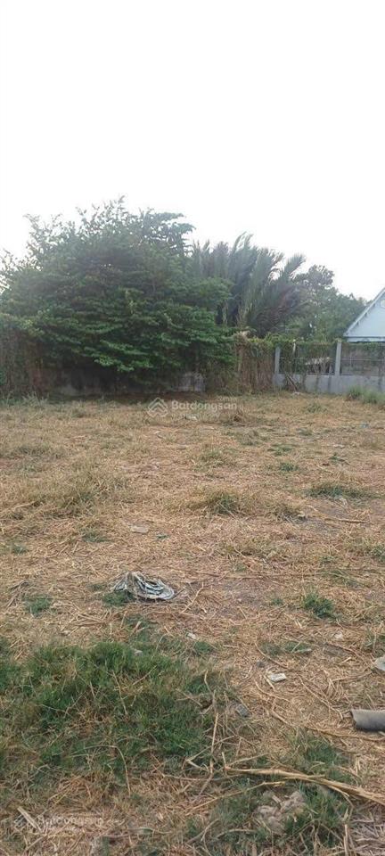 Bán đất vườn trọn sổ 1.647 m2 mặt tiền nhựa 30 m đường liên ấp 45, xã đa phước, bình chánh