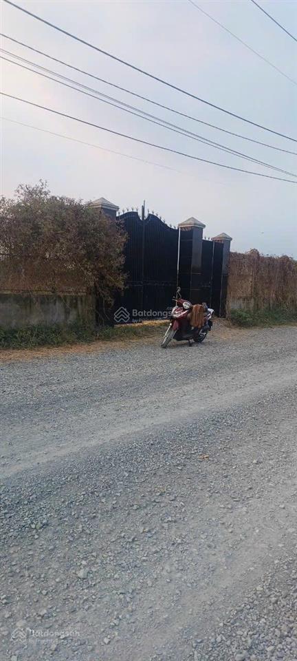 Bán đất vườn trọn sổ 1.647 m2 mặt tiền nhựa 30 m đường liên ấp 45, xã đa phước, bình chánh