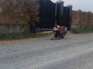 Bán đất vườn trọn sổ 1.647 m2 mặt tiền nhựa 30 m đường liên ấp 45, xã đa phước, bình chánh