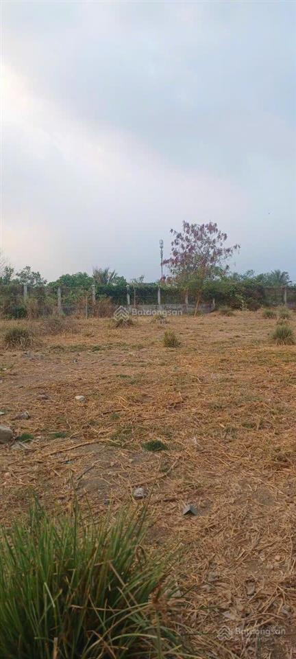 Bán đất vườn trọn sổ 1.647 m2 mặt tiền nhựa 30 m đường liên ấp 45, xã đa phước, bình chánh