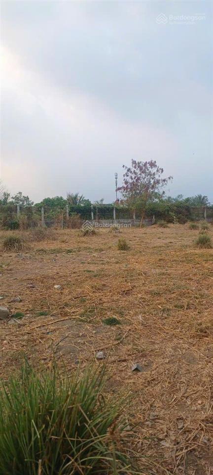 Bán đất vườn chính chủ trọn sổ đỏ, mặt tiền tập đoàn 16, xã đa phước, huyện bình chánh