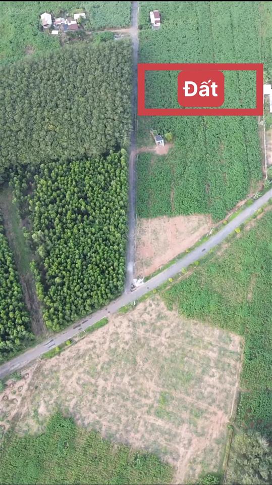 Chủ gửi bán thửa đất xây nhà vườn nghỉ dưỡng, nằm kề bên cụm kcn phước bình 1  2,  0901 336 ***