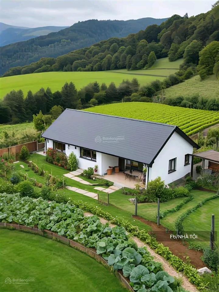 Chủ gửi bán thửa đất làm nhà vườn có cây ăn trái đang trồng đã được thu hoạch  0901 336 ***