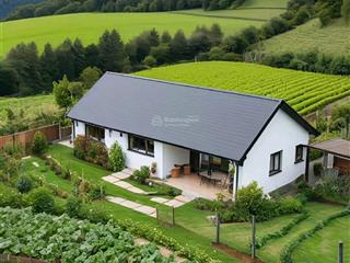 Chủ gửi bán thửa đất làm nhà vườn có cây ăn trái đang trồng đã được thu hoạch  0901 336 ***