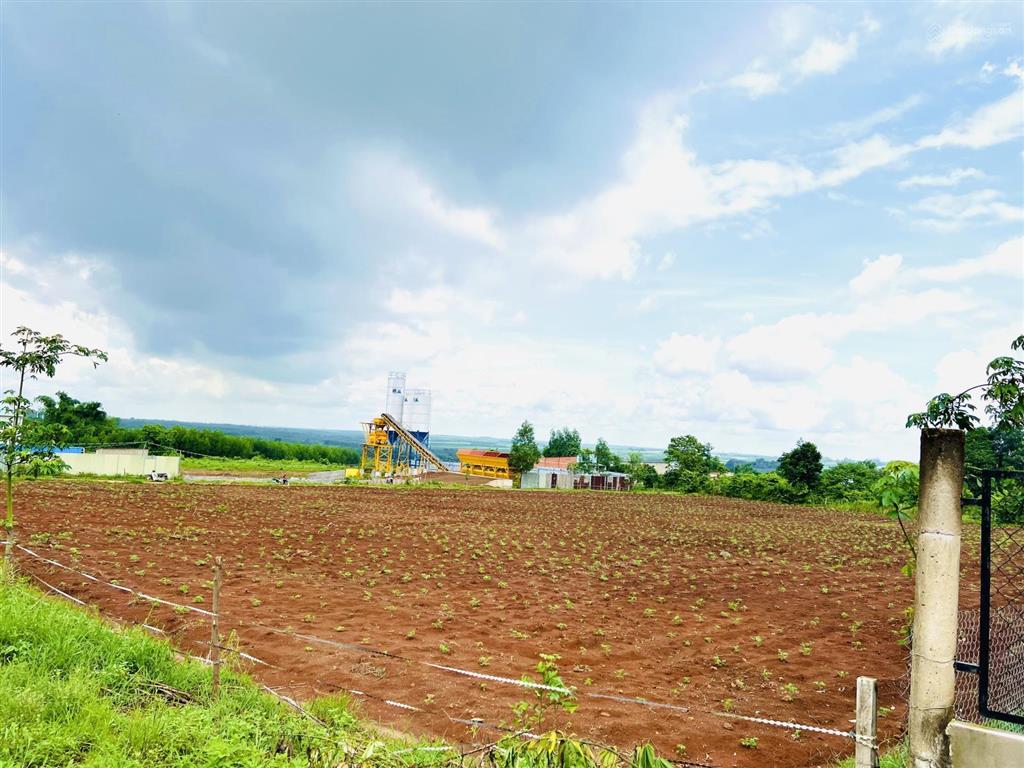 Chủ gửi bán thửa đất mặt tiền đường chính phước bình tặng kèm giấy phép xây dựng nhà xưởng