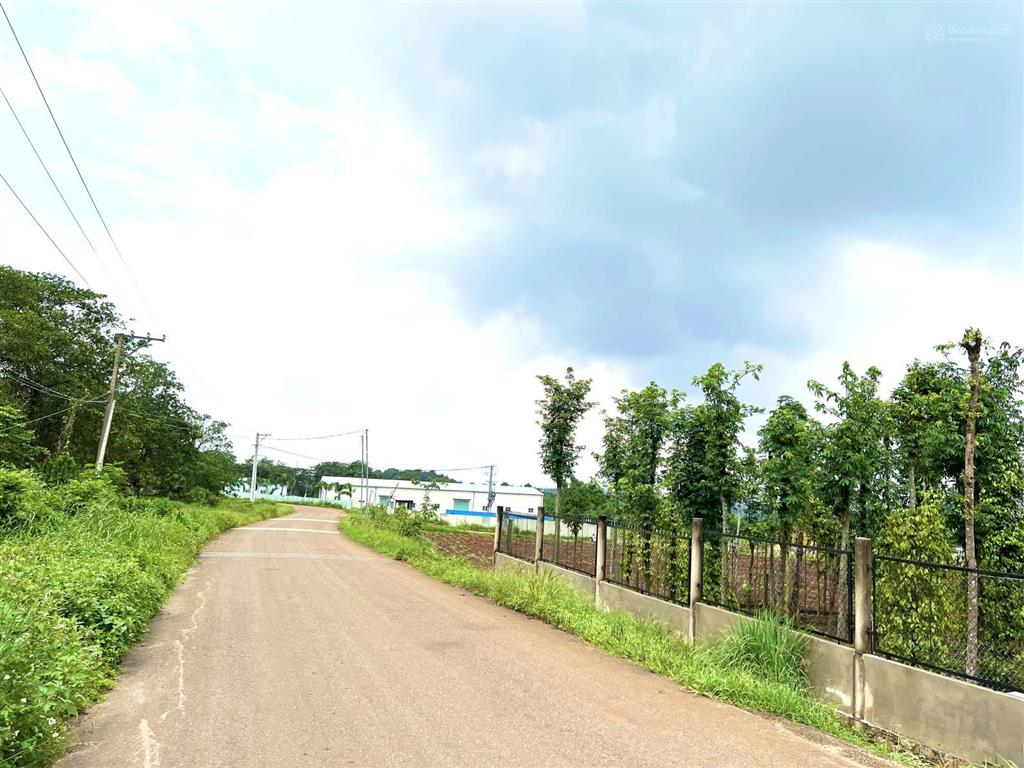 Chủ gửi bán thửa đất mặt tiền đường chính phước bình tặng kèm giấy phép xây dựng nhà xưởng