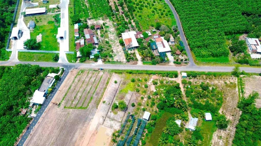 Đất mặt tiền đường nhựa tại minh thạnh  tphcm