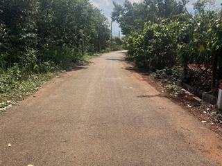 Chủ cần bán lô đất hơn 1000m2 đường nhựa trên đất đang trồng cà phê và cacao giá đầu tư