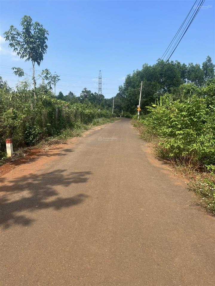 Chủ cần bán lô đất hơn 1000m2 đường nhựa trên đất đang trồng cà phê và cacao giá đầu tư