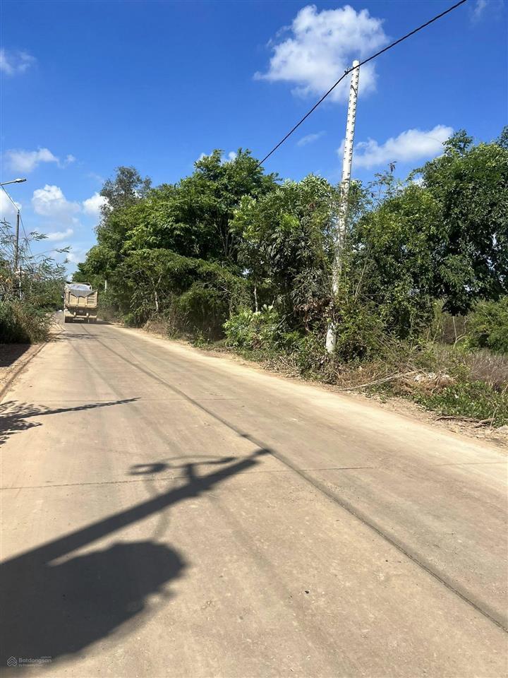 Cần bán lô đất 5300m2 phủ hồng toàn bộ có 200m2 thổ cư 126m mặt tiền betong rộng 8m