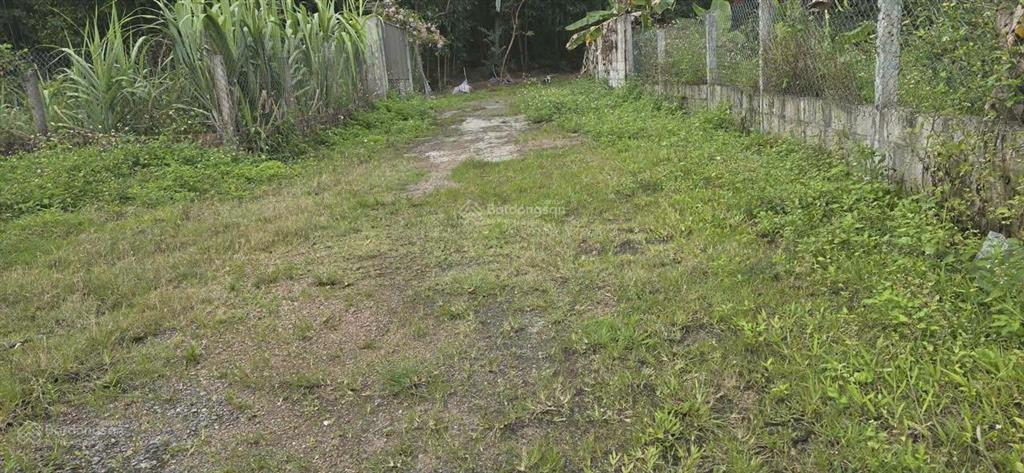 Bán lô đất xã hòa phong, hòa vang, có 250m2 thổ cư, phù hợp xây nhà vườn, đầu tư