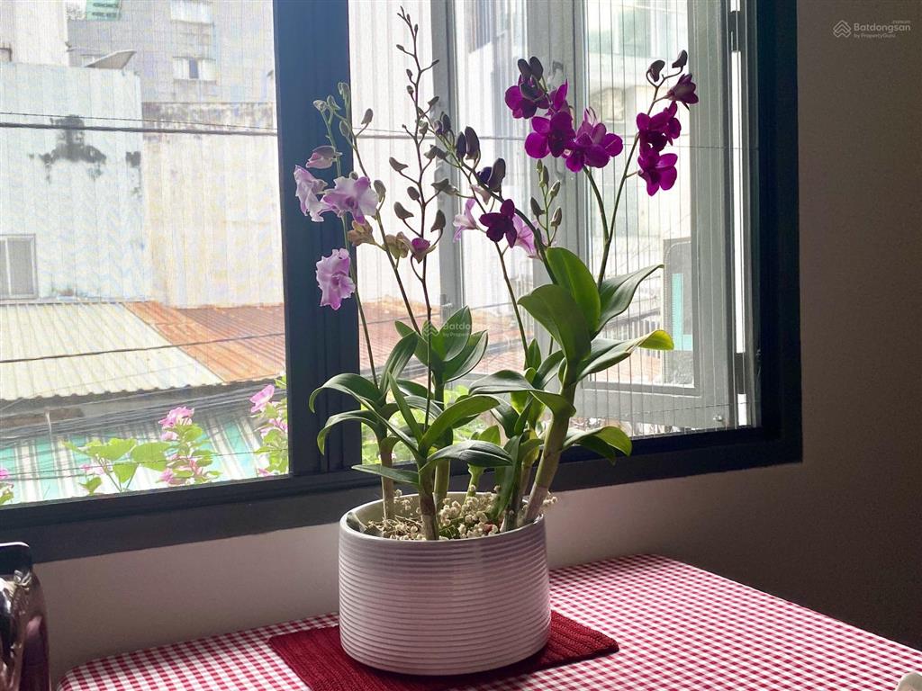Cho thuê mặt bằng trệt, dt 6,5m x 15m, khu sân bay, hợp làm vp cty nhỏ hay quán cafe vp nhỏ xinh