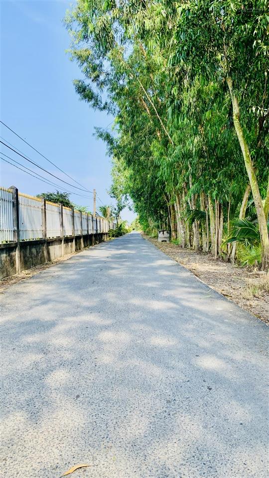 Bán đất thổ cư hơn 200m² xã an lục long, châu thành, long an sổ hồng riêng