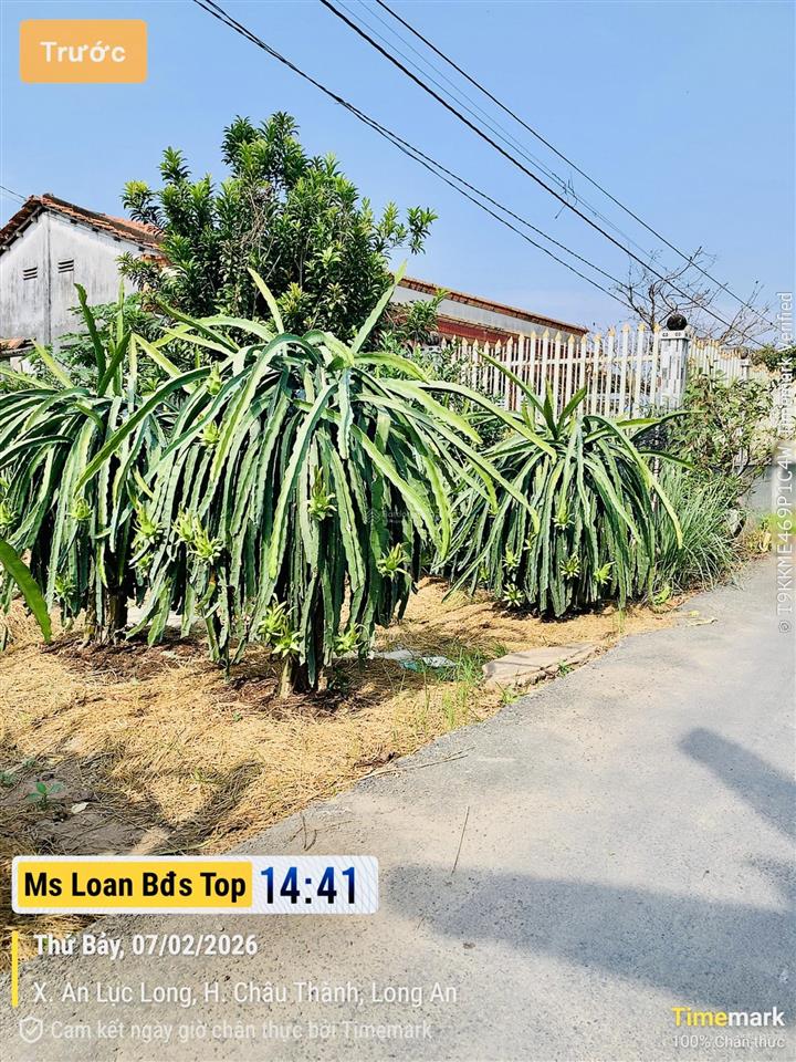 Bán đất thổ cư hơn 200m² xã an lục long, châu thành, long an sổ hồng riêng
