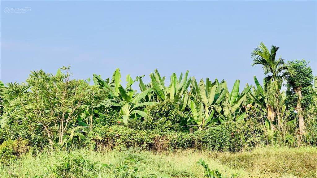 Bán đất thổ cư 177m2 xã long trì, châu thành, long an sổ hồng riêng