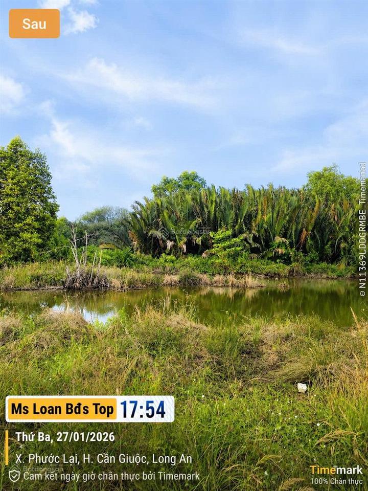 Chính chủ gửi bán thổ cư 100m2 tại ấp lũy phước lại chỉ 300tr