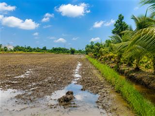 Bán đất thổ cư chính chủ 300m² (10m x 30m) tại hựu thạnh đức hòa long an (nay thuộc tây ninh mới)