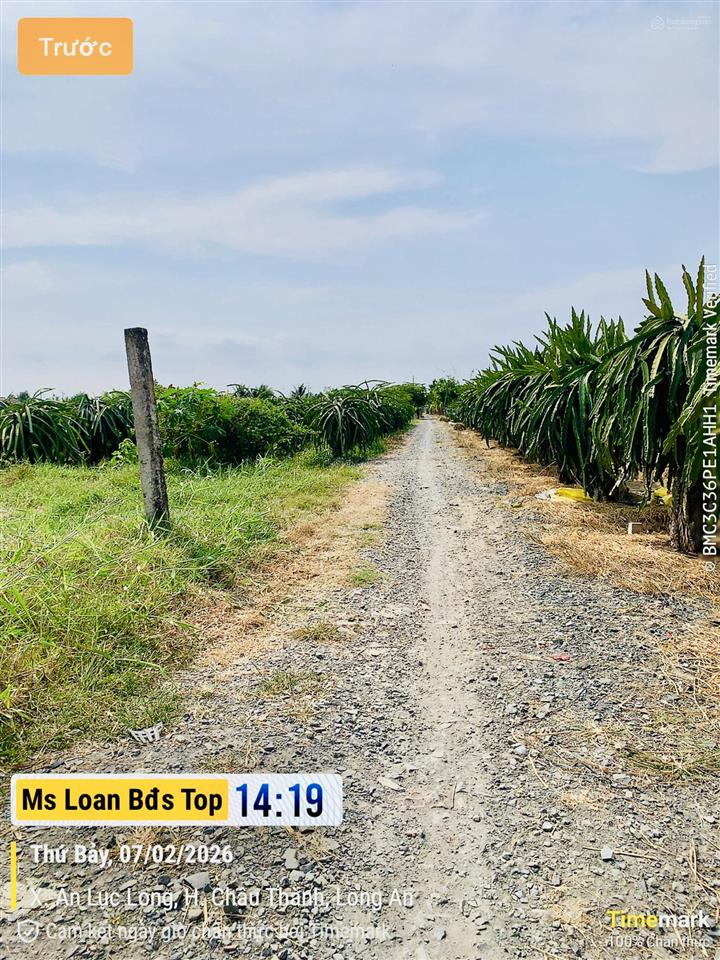 Đất thổ cư 149m2 (5x30m) xã an lục long, châu thành, long an, sổ hồng riêng 400tr cc