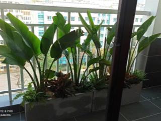 chinh-chu-ban-can-ho-chung-cu-789-my-dinh-3-ngu-2-ve-sinh--0911-120--bds29796850