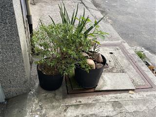 Cho thuê gấp nhà trọ 15m2 tại 362/75 đường hiệp thành 13, tân thới hiệp, q12, 1,7 triệu