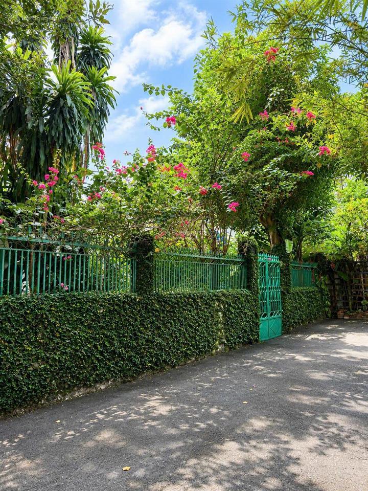 Bán nhà vườn 238m² tân phong sổ riêng thổ cư liền kề kdc phúc hải chỉ 8,8 tỷ tl
