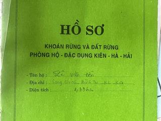 Bán đất rừng lộ rạch đùng bình trị  xã kiên lương an giang (ấp song chinh xã bình trị cũ)