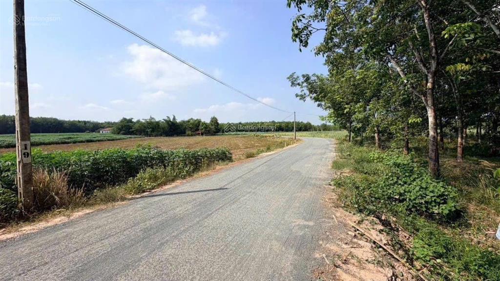 Bán đất mặt tiền nhựa 169 triệu, 138 m2, ngay chợ tân biên